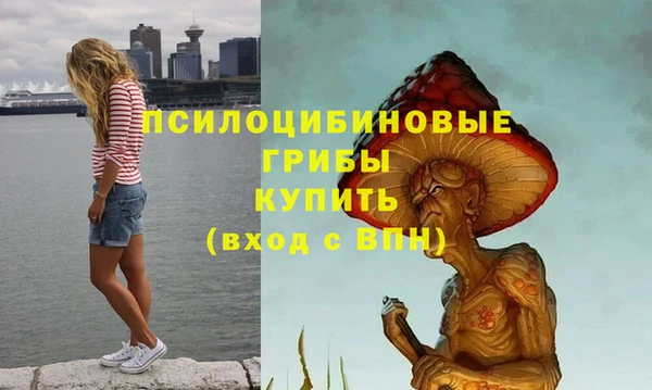 ешки Алексин