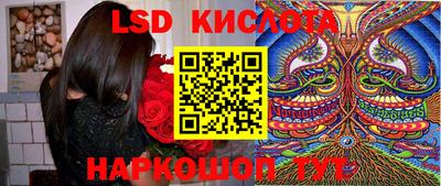 гидра Камень-на-Оби