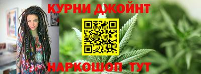 гидра Камень-на-Оби