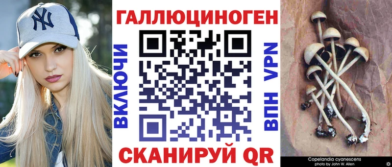 где купить наркотик  Сухой Лог  Псилоцибиновые грибы мицелий 
