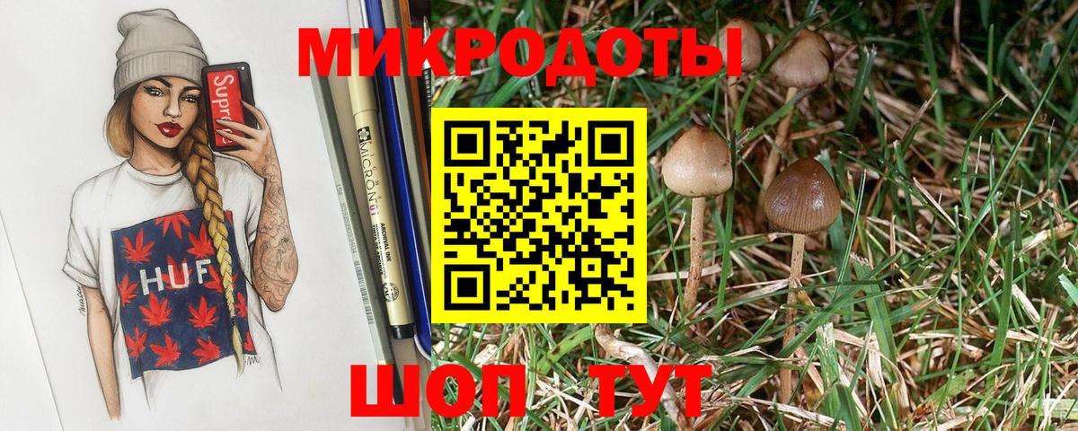 Сухой Лог  Псилоцибиновые грибы прущие грибы  Вход с VPN 